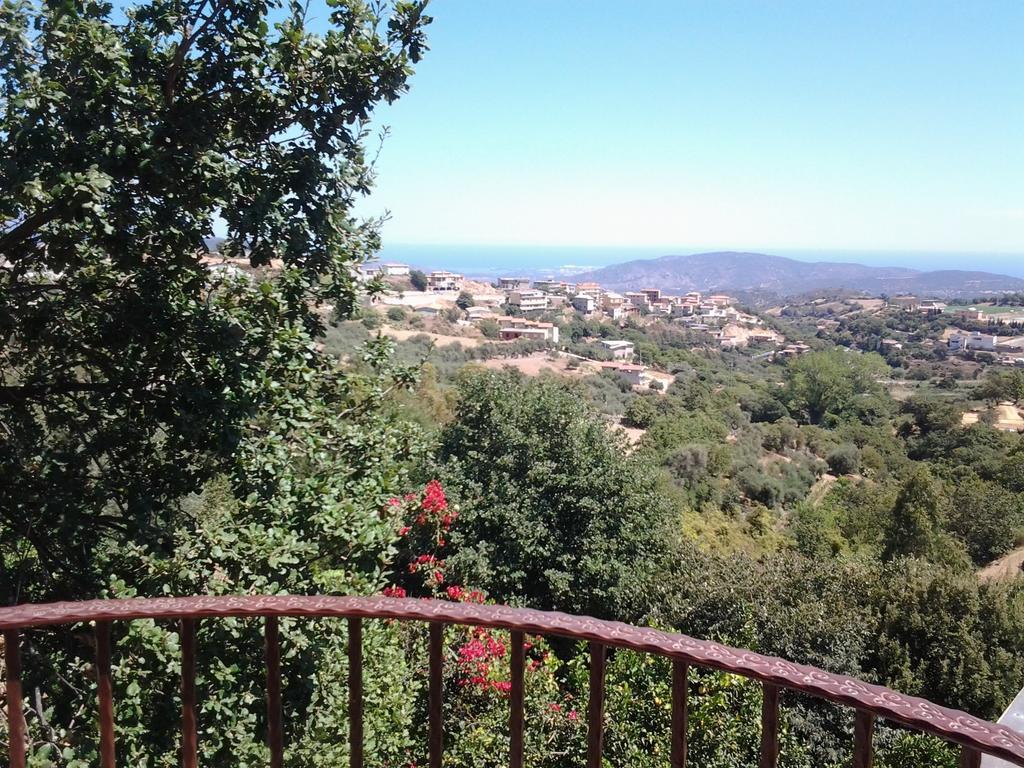 Le Roverelle Ilbono Oda fotoğraf
