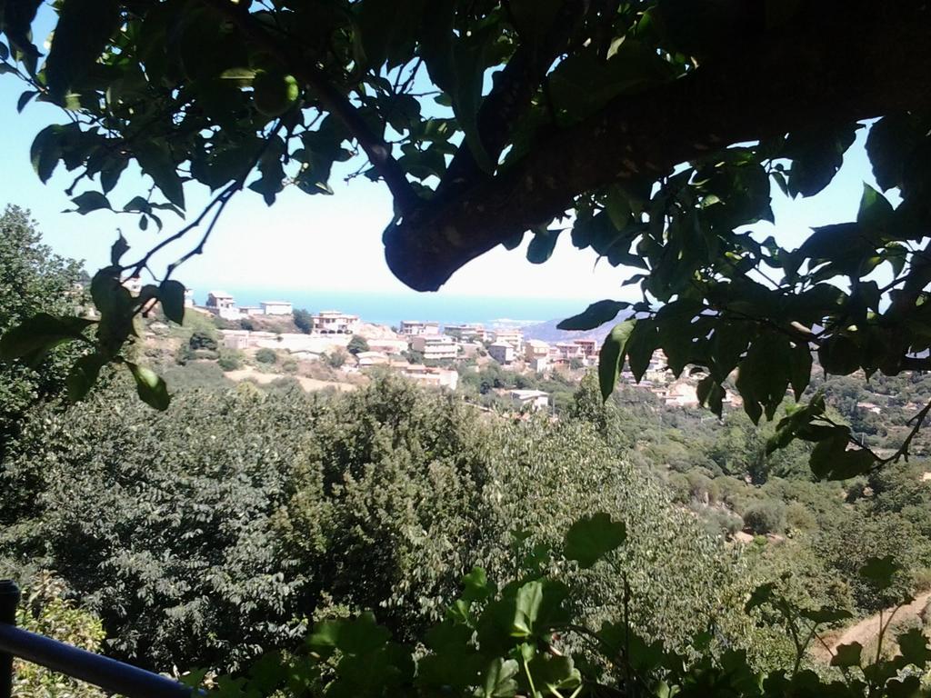 Le Roverelle Ilbono Dış mekan fotoğraf