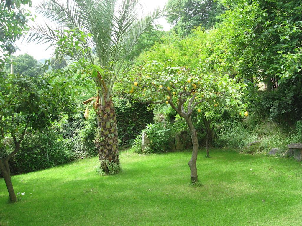 Le Roverelle Ilbono Dış mekan fotoğraf