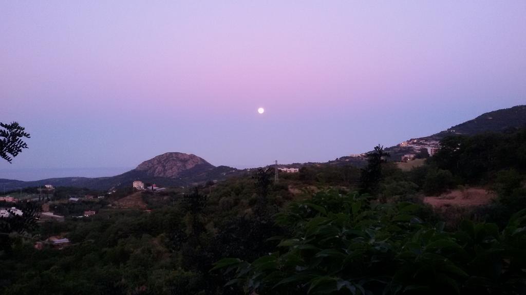 Le Roverelle Ilbono Dış mekan fotoğraf